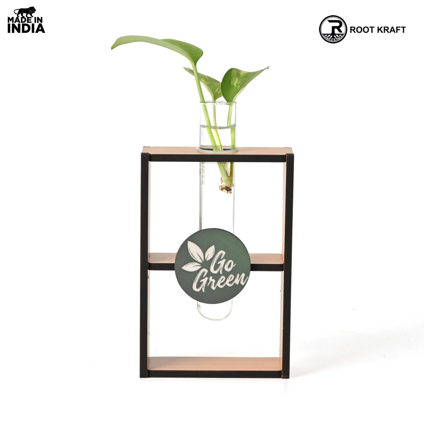 Eco-Friendly Test Tube Planter | Wooden MDF Stand | Indoor Desk Décor & Gifting