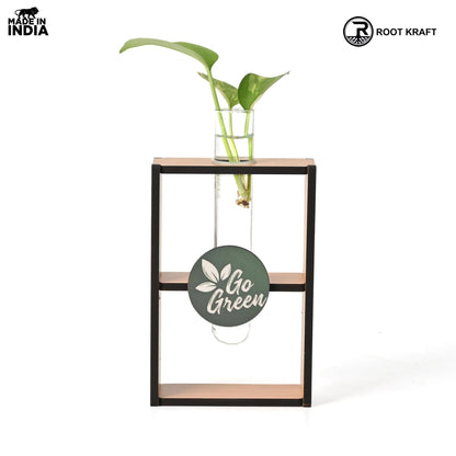Eco-Friendly Test Tube Planter | Wooden MDF Stand | Indoor Desk Décor & Gifting
