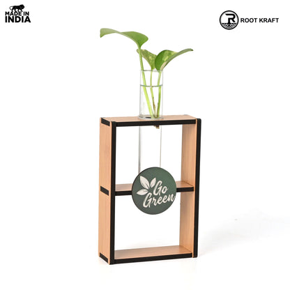 Eco-Friendly Test Tube Planter | Wooden MDF Stand | Indoor Desk Décor & Gifting
